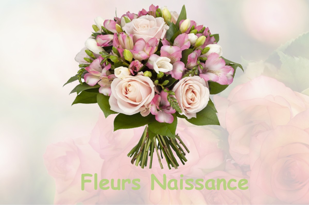 fleurs naissance LA-CHAPELLE-CRAONNAISE