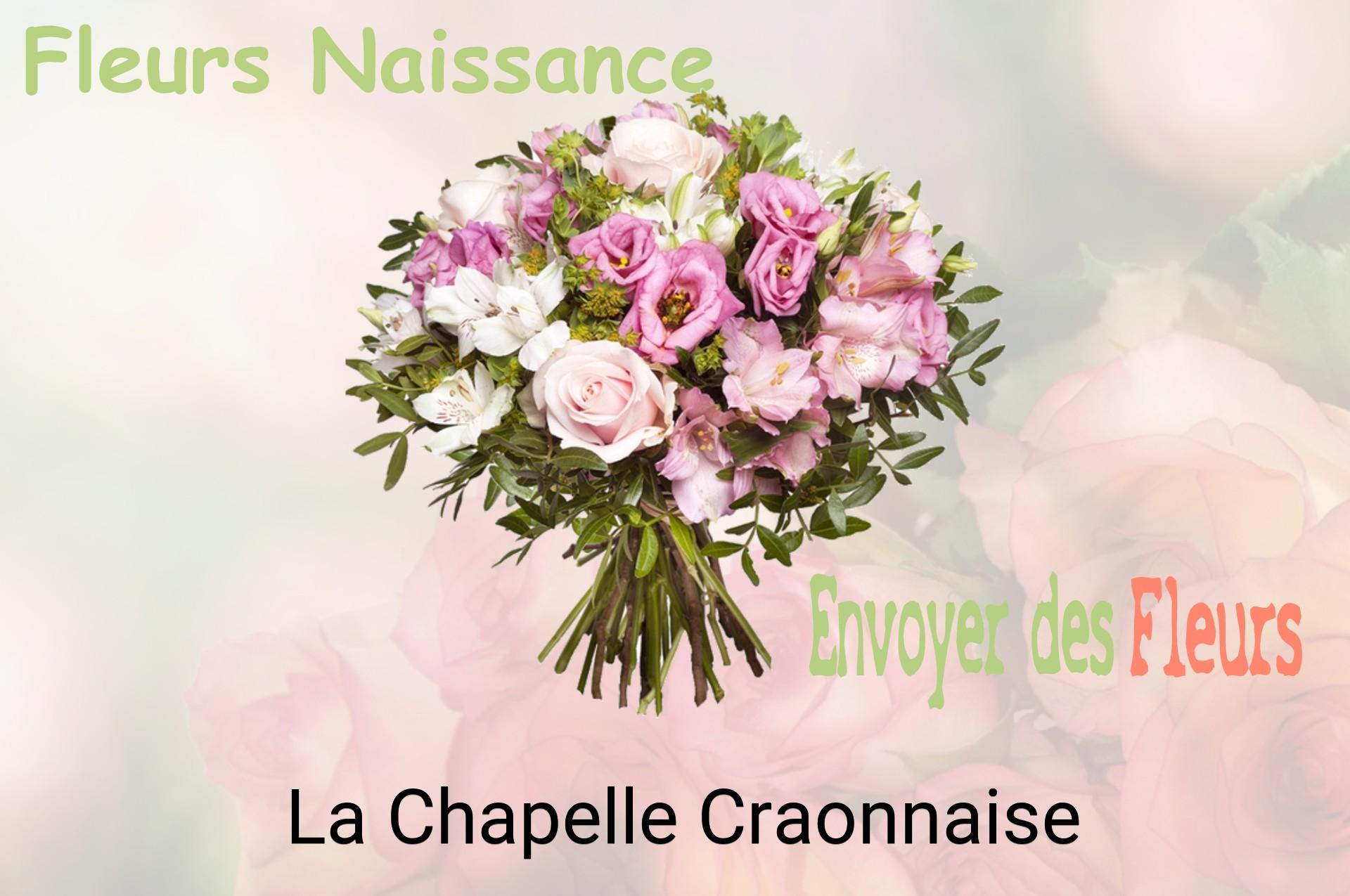 Bouquet de fleurs de naissance livré à La Chapelle-Craonnaise